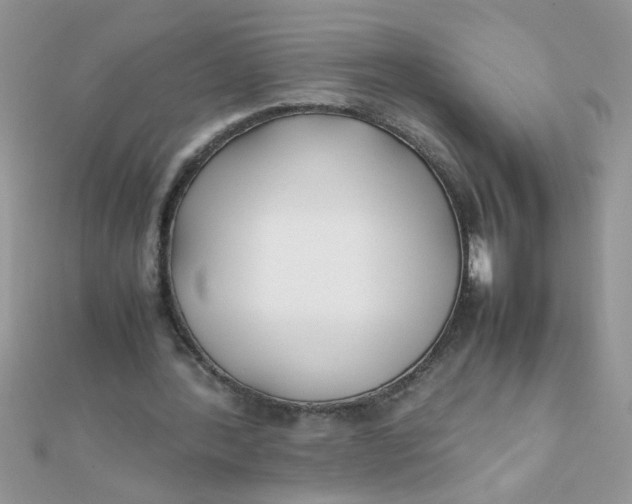 X0000112370388200909031936