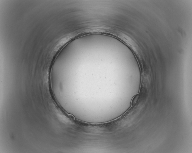 X0000112370389200909031936