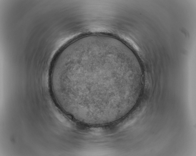 X0000112370391200909031936