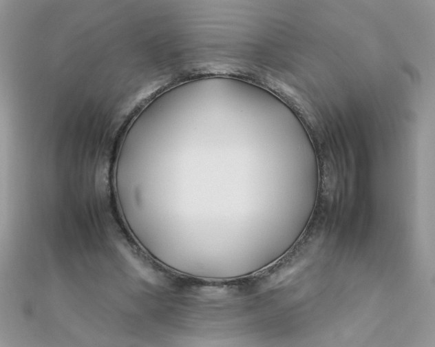 X0000112370394200909031936
