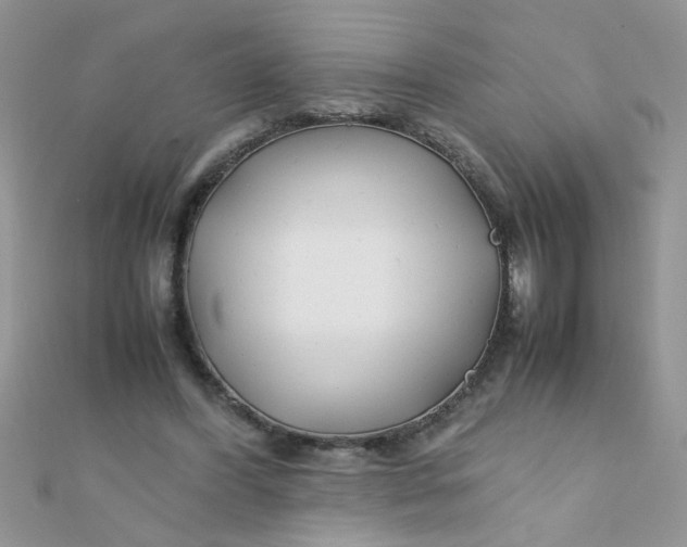 X0000112370396200909031936