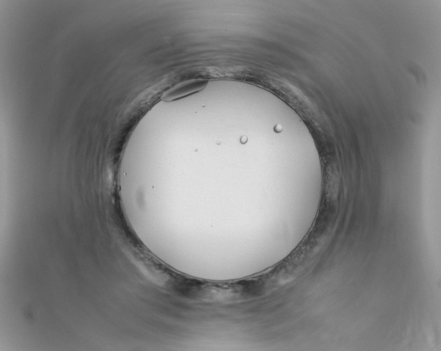X0000112370405200909031935