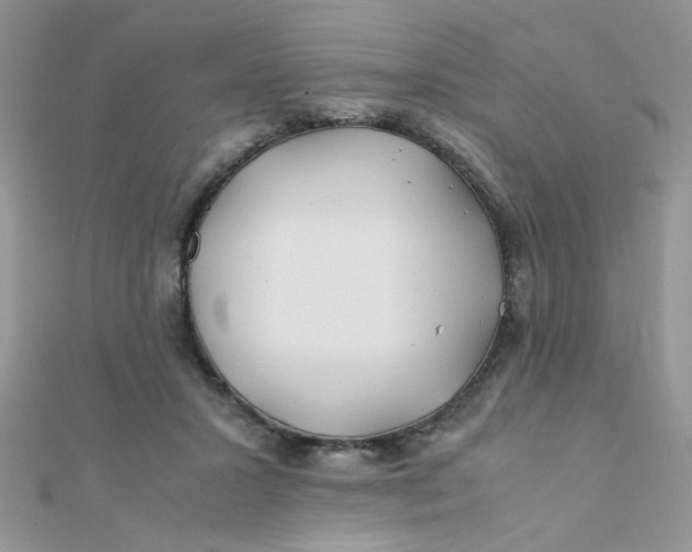 X0000112370407200909031935
