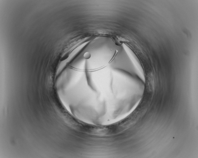 X0000112370410200909031935