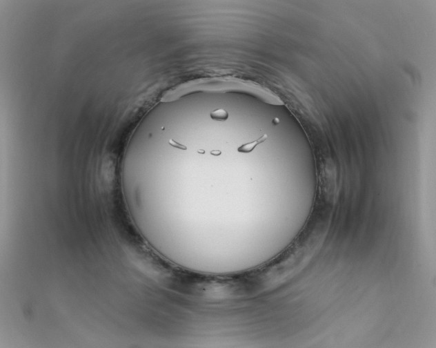 X0000112370412200909031935
