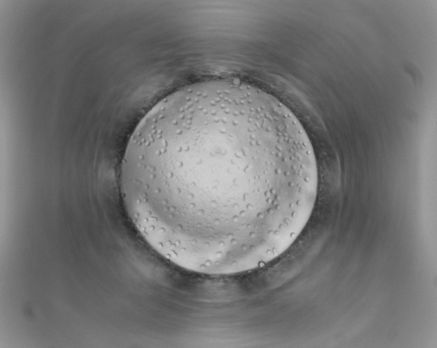 X0000112370415200909031935