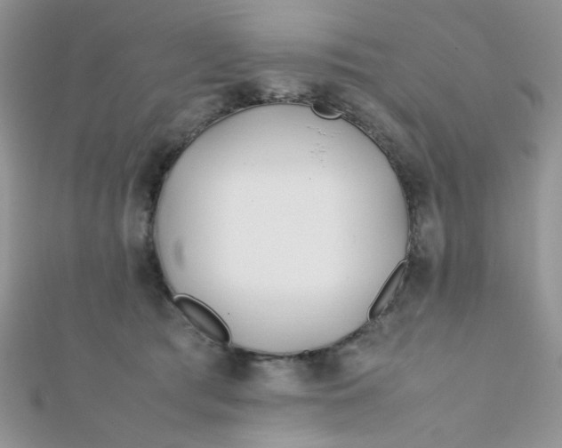 X0000112370417200909031935