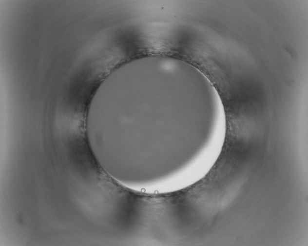 X0000112370419200909031935