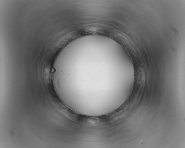 X0000112370420200909031935