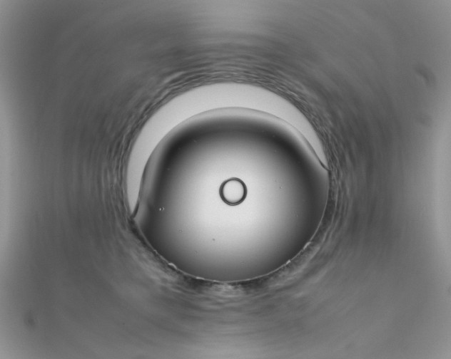 X0000112370421200909031935