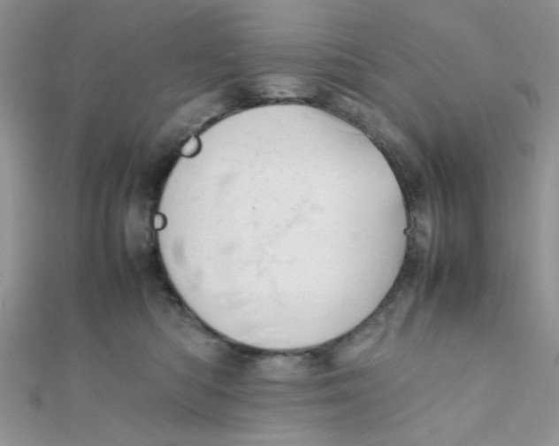X0000112370422200909031935
