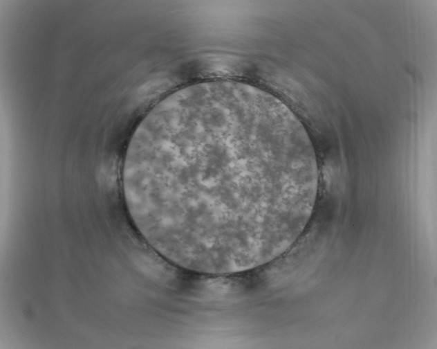 X0000112370423200909031935