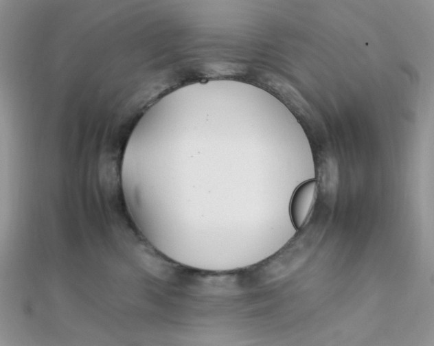 X0000112370426200909031935