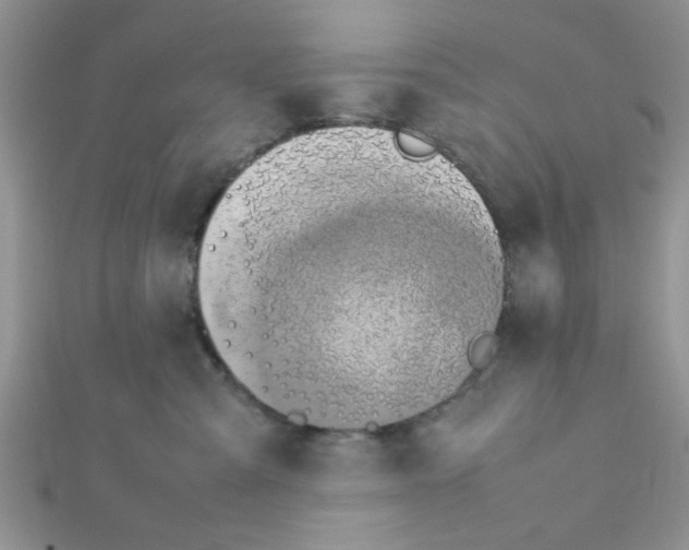 X0000112370427200909031935