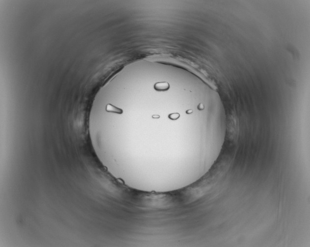 X0000112370428200909031935