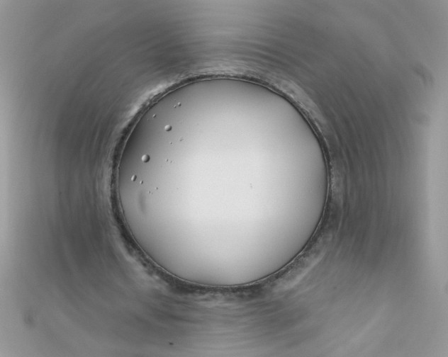 X0000112370434200909031934