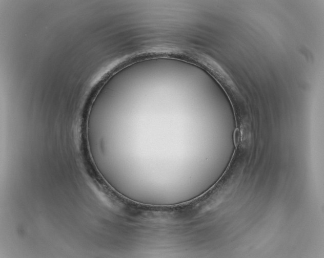 X0000112370436200909031934