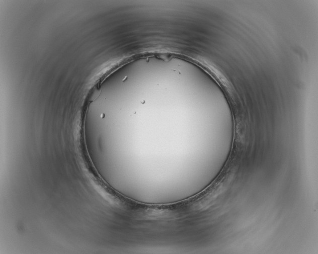 X0000112370437200909031934