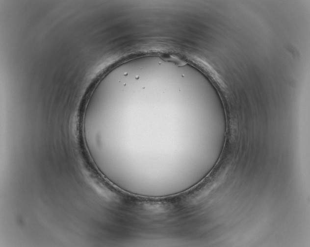 X0000112370439200909031934