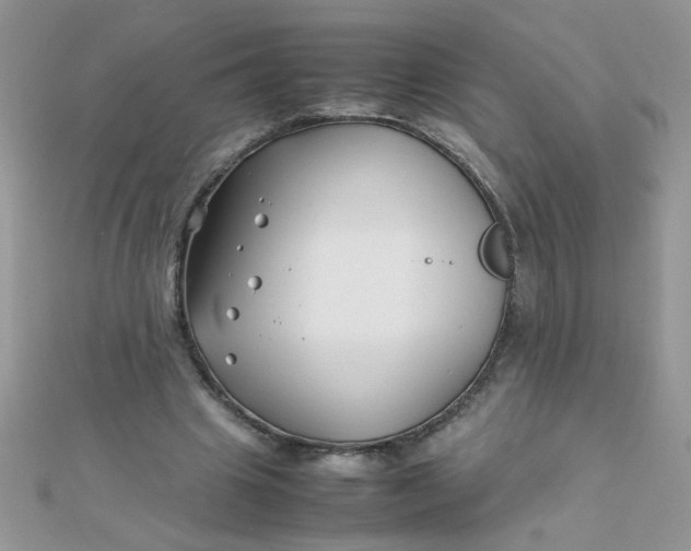 X0000112370441200909031934