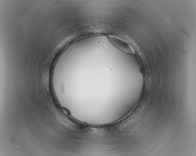 X0000112370442200909031934