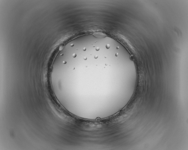 X0000112370443200909031934