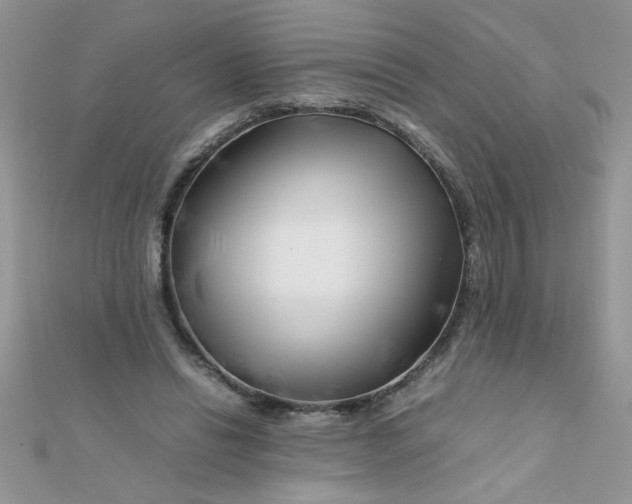 X0000112370446200909031934