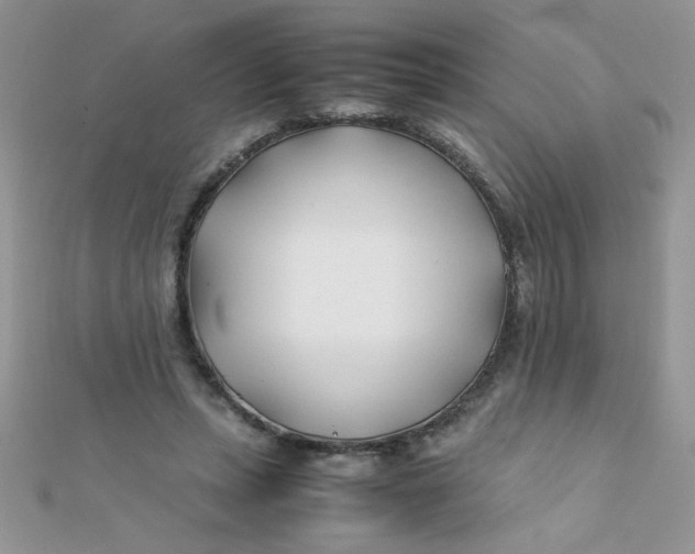 X0000112370447200909031934
