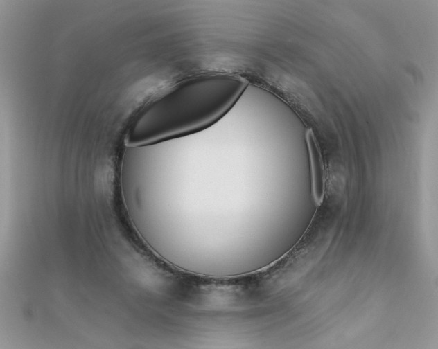 X0000112370448200909031934