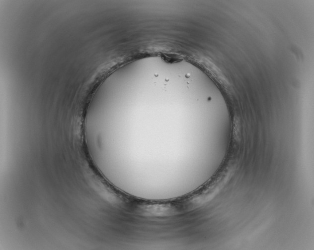 X0000112370449200909031934