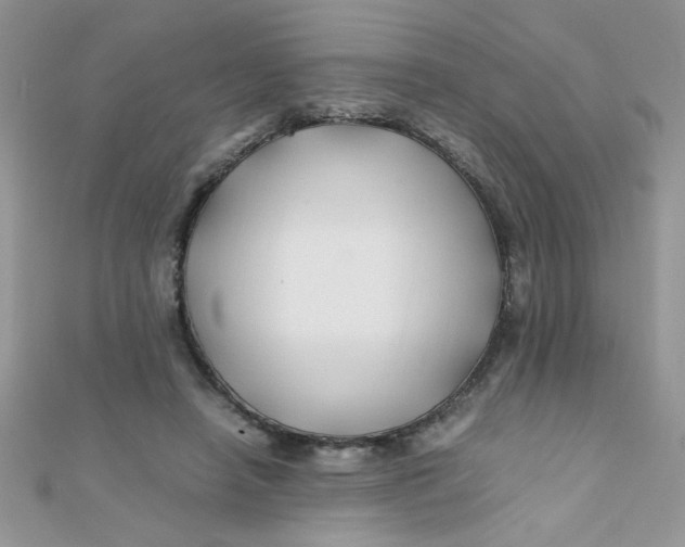 X0000112370450200909031934
