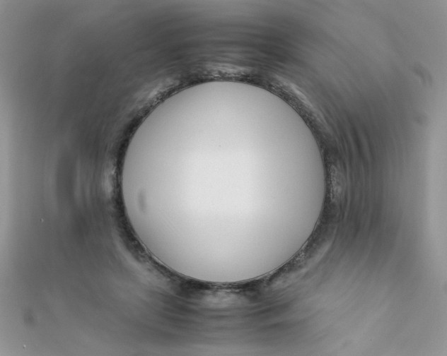 X0000112370451200909031934