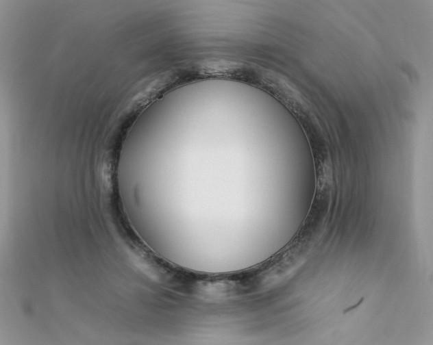 X0000112370452200909031935
