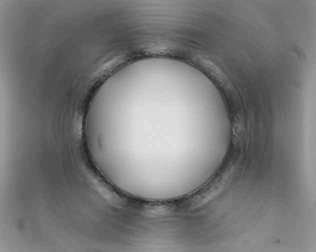 X0000112370454200909031935