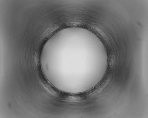 X0000112370455200909031935