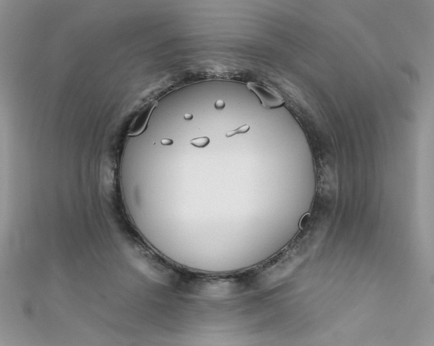 X0000112370456200909031935