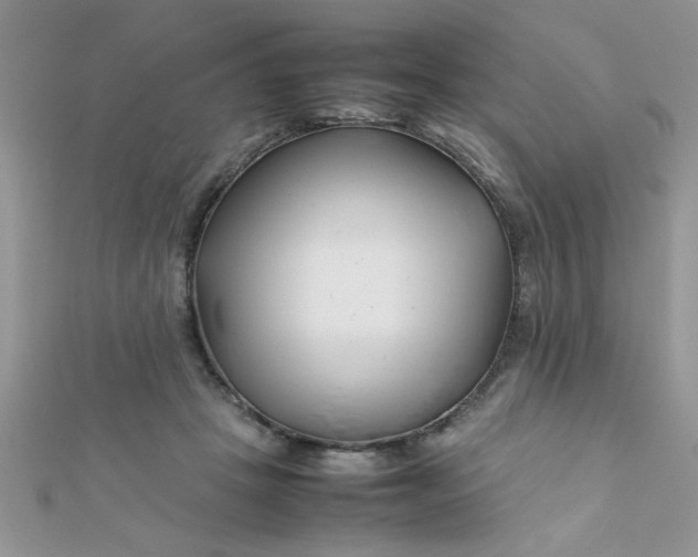 X0000112370457200909031935