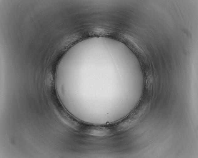 X0000112370459200909031935