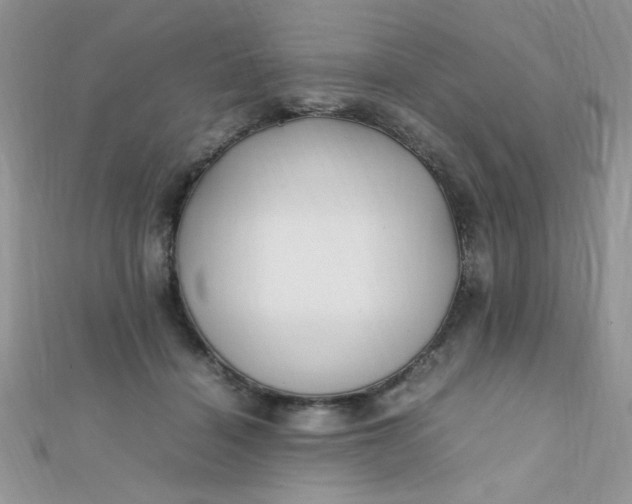 X0000112370460200909031935
