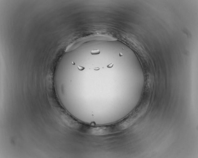 X0000112370461200909031935
