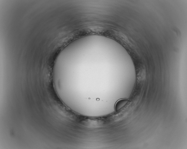 X0000112370464200909031935