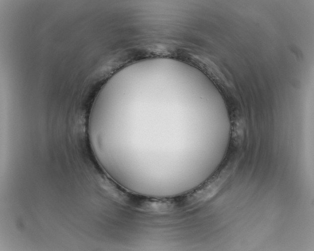 X0000112370466200909031935