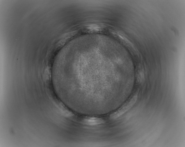 X0000112370467200909031935