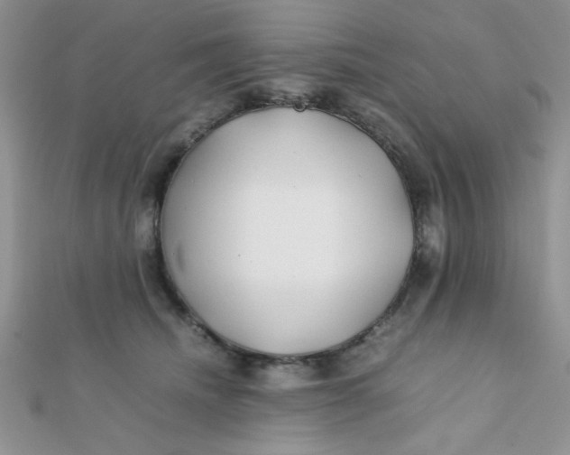 X0000112370468200909031935