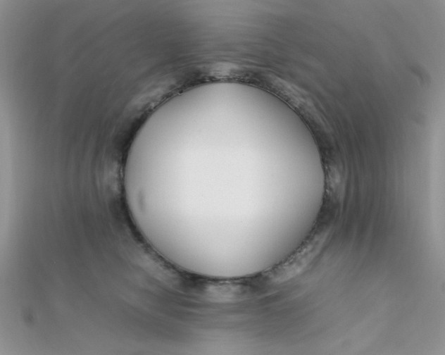 X0000112370470200909031935