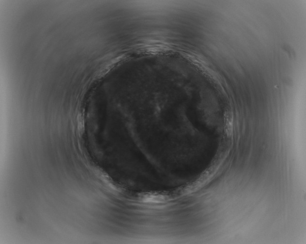 X0000112370471200909031935