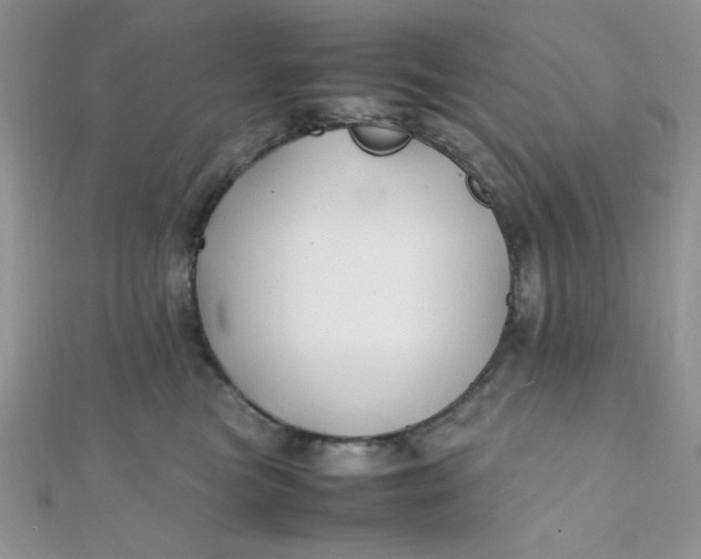 X0000112370473200909031935