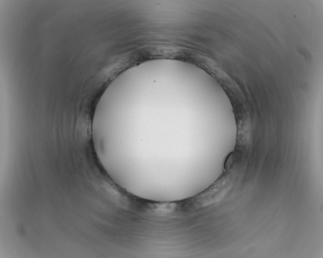 X0000112370474200909031935
