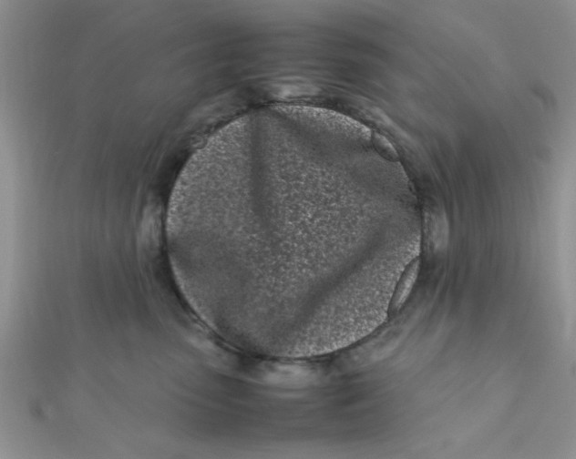 X0000112370475200909031935