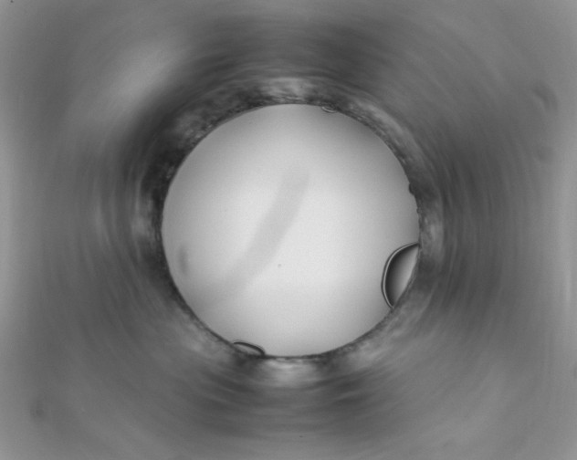 X0000112370477200909031935